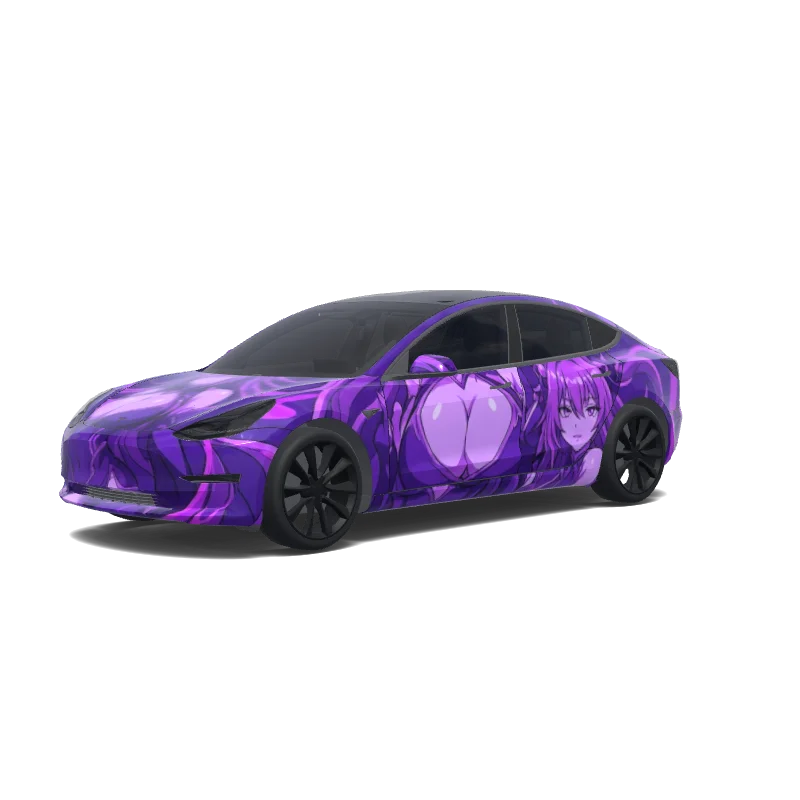  Model 3 wrap