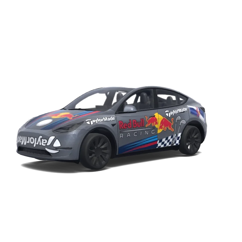  Model Y wrap