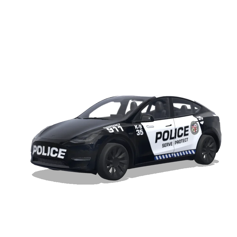  — Model Y wrap