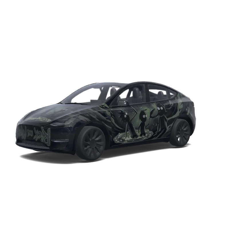  Model Y wrap