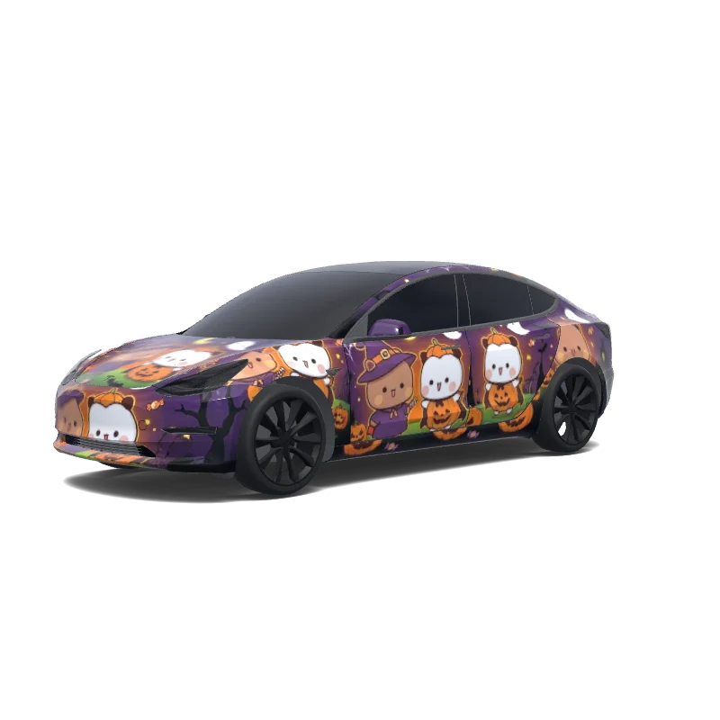  — Model 3 wrap