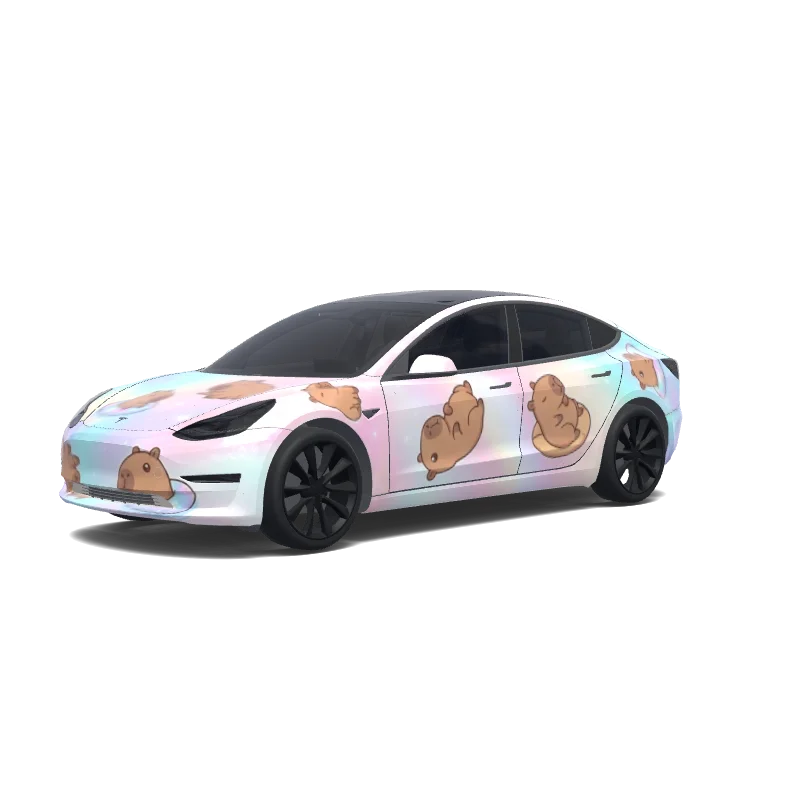  Model 3 wrap