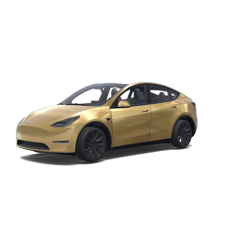  — Model Y wrap